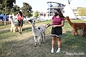 VBS_8133 - Inaugurazione 72.ma Fiera del Peperone di Carmagnola